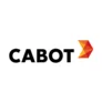 CBT